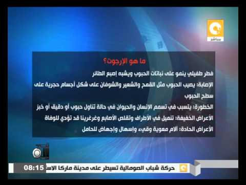 خطورة فطر الإرجوث وأعراضه