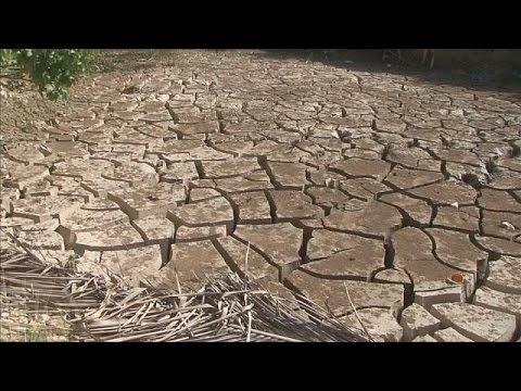 ظاهرة النينيو وتأثيرها على العالم