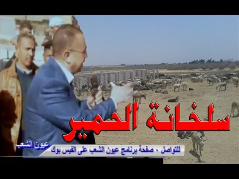 شاهد طريقة الكشف عن معرفة السلخانة بسهولة