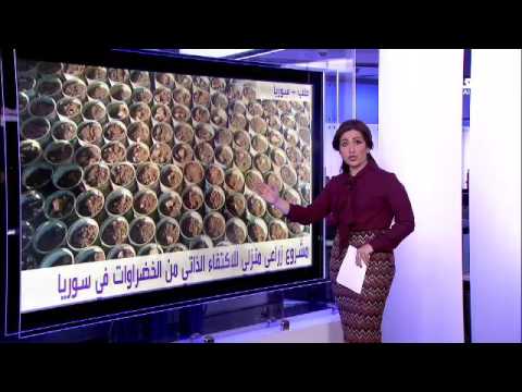 شاهد وليمة لـ الفقع الزبيدي في حفر الباطن