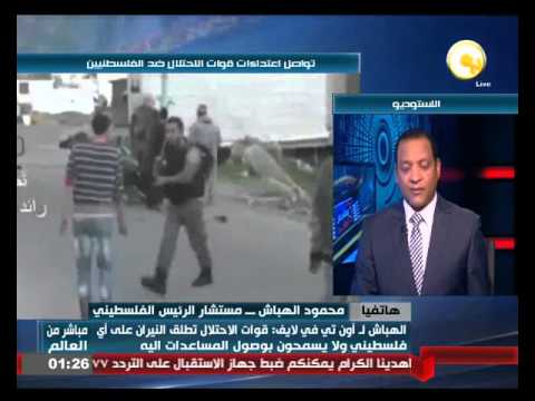شاهد فوجو السمكة الأكثر فتكًا في العالم
