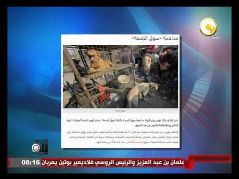 وزارة البيئة تشن حملة مداهمة على سوق الجمعة