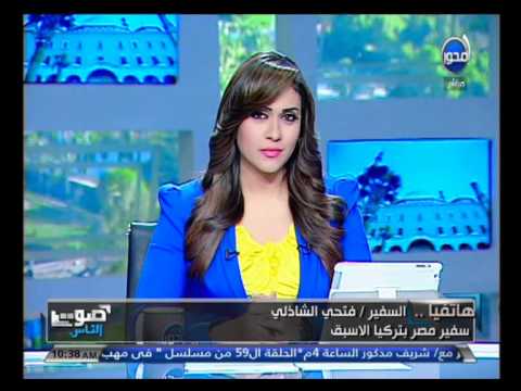 سفير مصر الأسبق لدى أنقرة يعتبر أردوغان في غفلة