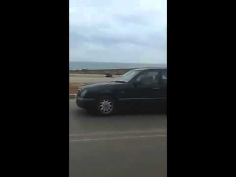 شاهد بالفيديو قتل الكلاب الضالة بالرصاص في سلا