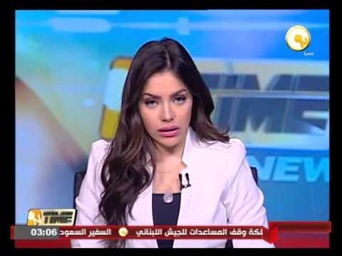 شكري يبحث مع صائب عريقات الأوضاع في الأراضي المحتلة