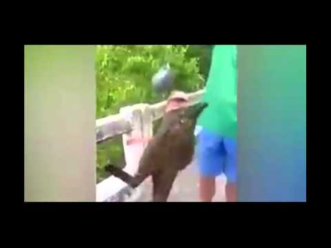 صياد تايلاندي يعثر على سمكة لها أقدام