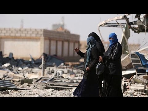 اتفاق وقف إطلاق النار يدخل حيز التنفيذ في سورية