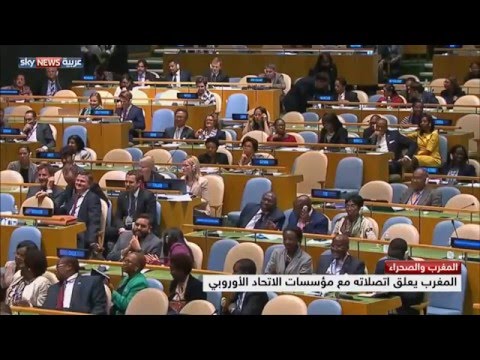 قرار محكمة العدل الأوروبية يعيد ملف الصحراء للواجهة