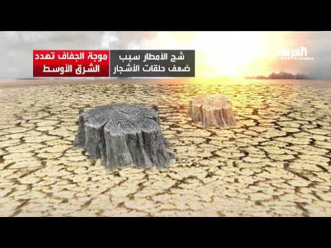 بالفيديو أسوأ موجة جفاف في الشرق الأوسط منذ ألف عام