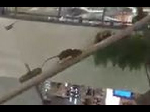 فأر يسير عكس الاتجاه على سلم كهربائي