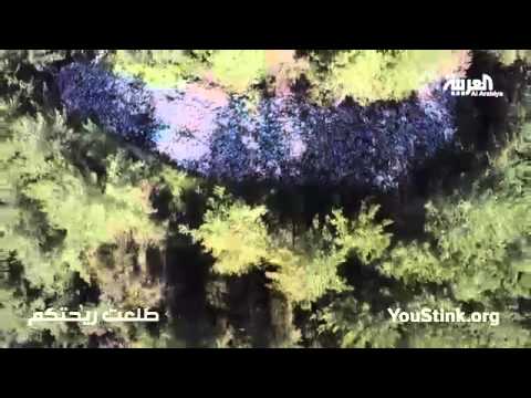 أكوام من النفايات في بيروت