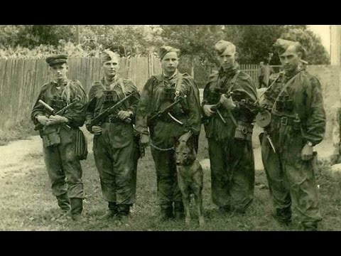 الحرب لم تنته عام 1945 بل استمرت حتى الخمسينات