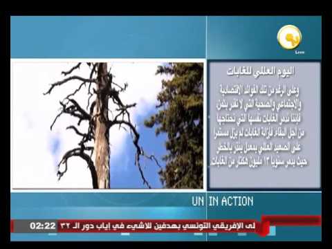 تعرف على اليوم العالمي للغابات