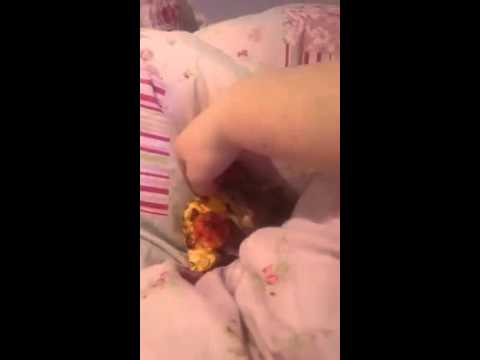 شاهد  إنجليزية تربي فأر في المنزل وتعامله كأبنها