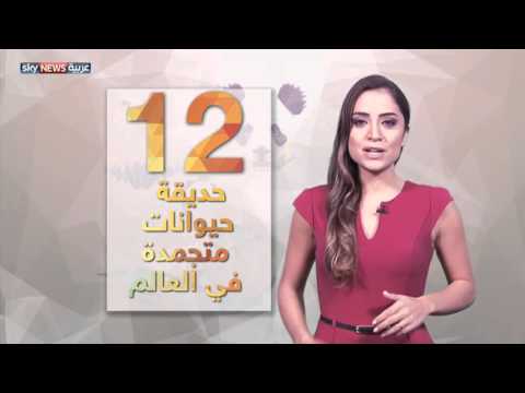 تعرف على بنك الحيوانات المهددة بالإنقراض