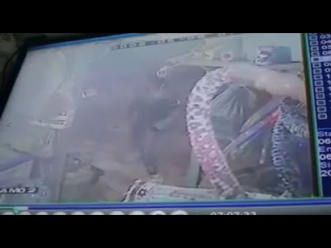 شاب يسرق محل أدوات منزلية في الأردن