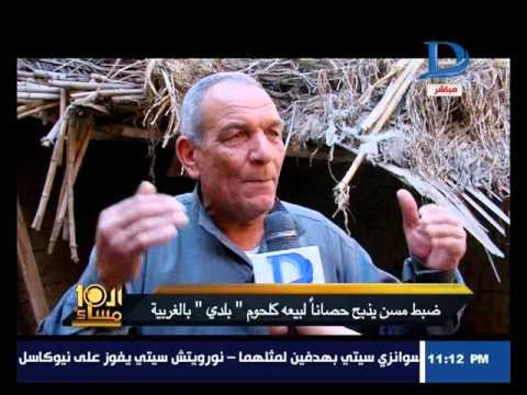داعية سلفي يذبح الخيول ويبيعها للمواطنين