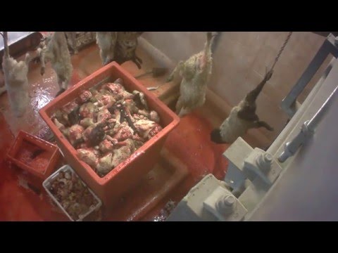 شاهد  حادث سيارات جماعي في عطلة “كنس المقابر” في الصين