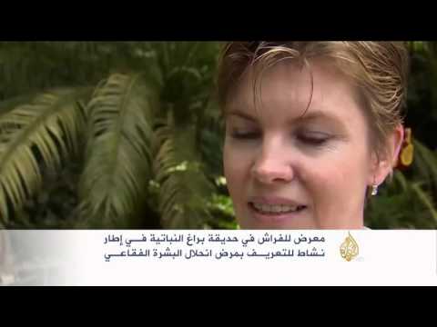 معرض للفراش لأغراض صحية في العاصمة التشيكية