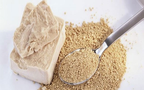   مصر اليوم - الخميرة تعدُّ مفتاح الاتزان عند تناول الخمور