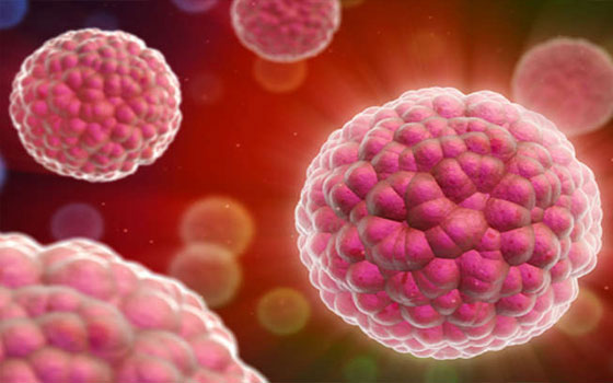   مصر اليوم - مقاومة المضادات الحيوية وصلت لمستويات خطيرة