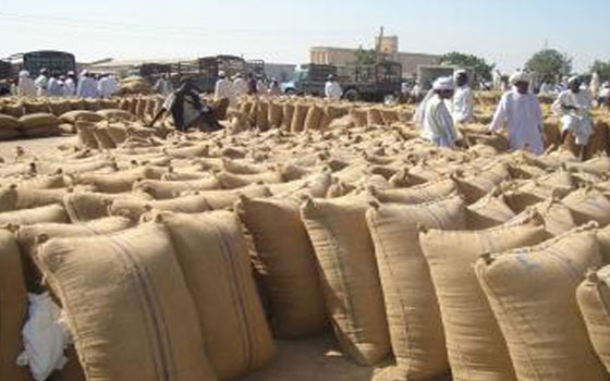   مصر اليوم - أكثر من 20 ألف جوال ذرة وردت لسوق المحاصيل الأبيض