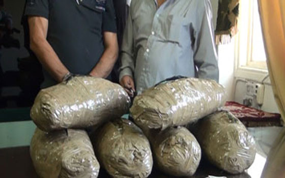 مصر اليوم - توقيف عاملين وفي حوزتهما 20 كيلو غرام بانجو في قنا
