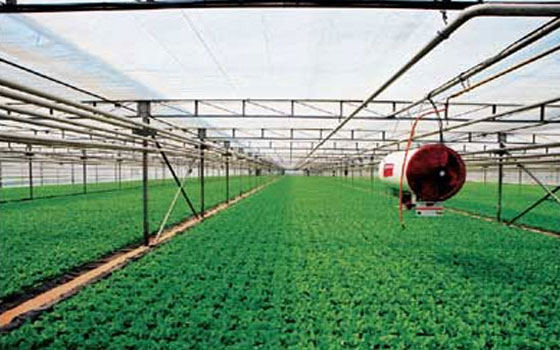   مصر اليوم - توقیع إتفاق للتعاون الزراعي بین دولتي إیران والصین