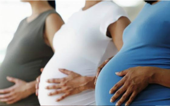   مصر اليوم - تنشيط بعض هرمونات المخ قد يزيد الخصوبة