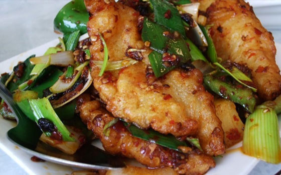   مصر اليوم - صينية سمك الهامور بالكزبرة