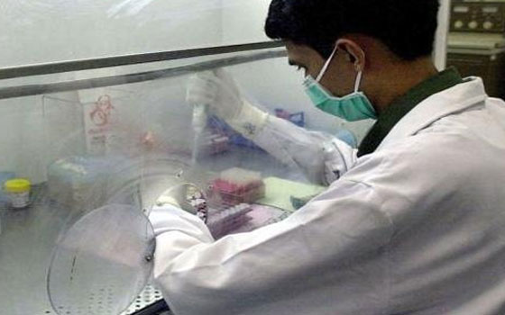   مصر اليوم - ارتفاع عدد الوفيات بفيروس كورونا في السعودية إلى 175