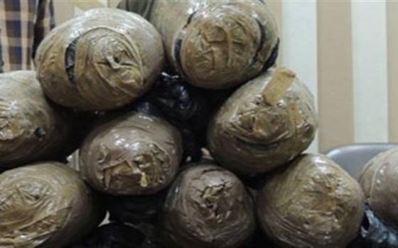 مصر اليوم - ضبط 6 لفافات بانجو بحوزة مواطن من رفح