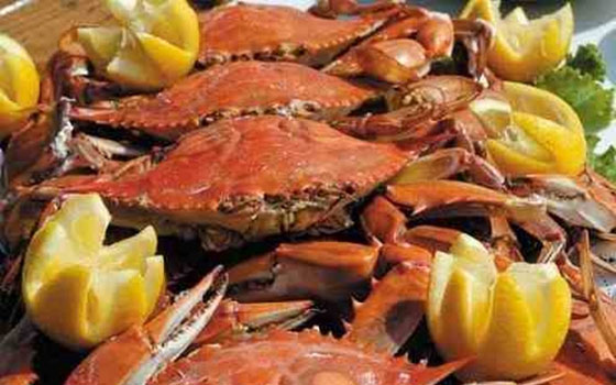   مصر اليوم - الكابوريا بالبصل والكمون