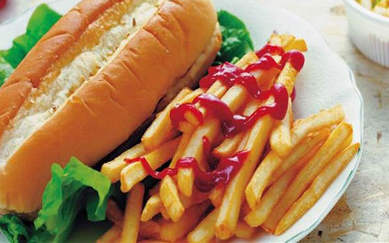   مصر اليوم - دراسة ألمانية: الأطعمة الجاهزة قنابل أملاح موقوتة