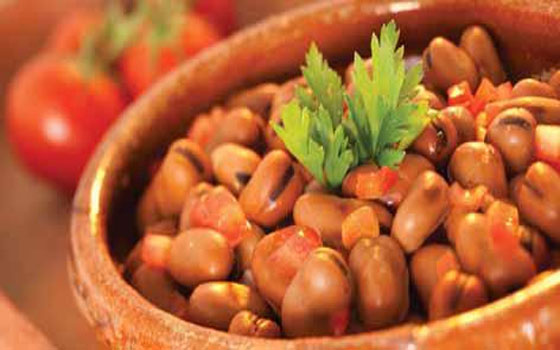   مصر اليوم - الفول يحارب سرطان القولون والإكثار منه لا يسبب الغباء