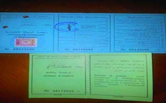   مصر اليوم - البدء في تسليم رخصة السياقة الجزائرية الجديدة أواخر الشهر