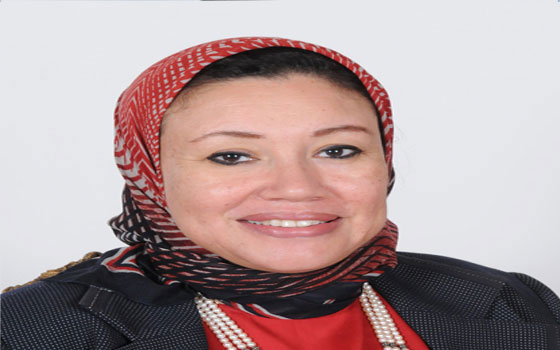   مصر اليوم - إستراتيجية جديدة لإحداث طفرة بالصادرات المصرية خلال 4 سنوات