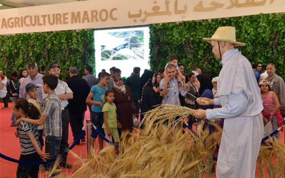   مصر اليوم - دعم مالي من البنك الدولي للمغرب ب4 مليارات دولار