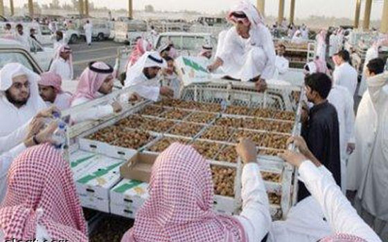   مصر اليوم - مهرجان قوت للتمور المعبأة يواصل فعالياته