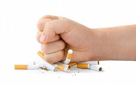   مصر اليوم - مؤتمر اليوم الواحد لمكافحة الإدمان في الإسكندرية الأحد