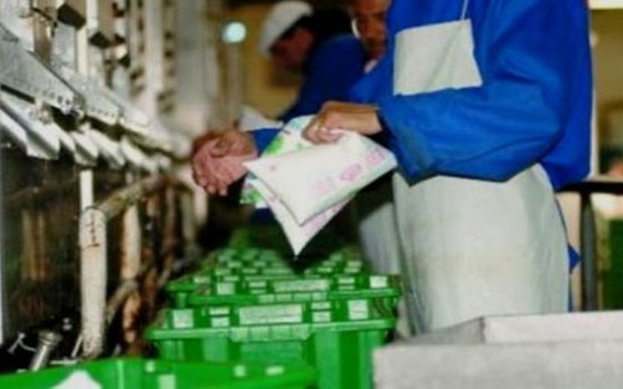   مصر اليوم - اللجنة الوطنية لمهنيي الحليب: استراتيجية لرفع الإنتاج في الجزائر