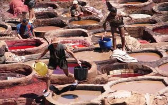   مصر اليوم - مجلس الوزراء ينقل ولاية أراضي الرّوبيكي لهيئة التنميَّة الصناعيَّة