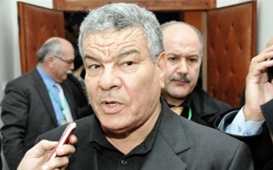   مصر اليوم - أمين عام الحزب الحاكم : الحكومة الحالية حكومة أنتقالية