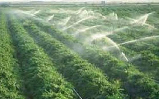   مصر اليوم - الزراعة المصرية تضع برامج جديدة لتطوير الري الحقلي