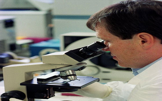 مصر اليوم - التشابه في الحامض النووي يلعب دورًا في اختيار الزوجة