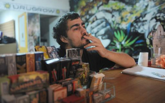   مصر اليوم - الأوروغواي تسمح ببيع عشرة غرامات من القنب الهندي