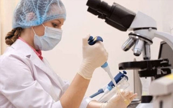   مصر اليوم - بني سويف ترفع درجة الاستعداد إلى القصوى لمواجهة كورونا