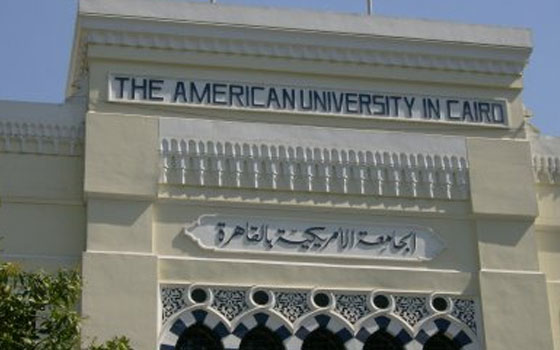   مصر اليوم - الجامعة الأميركيّة في القاهرة تفتتح معرض الفنانة جاذبية سري