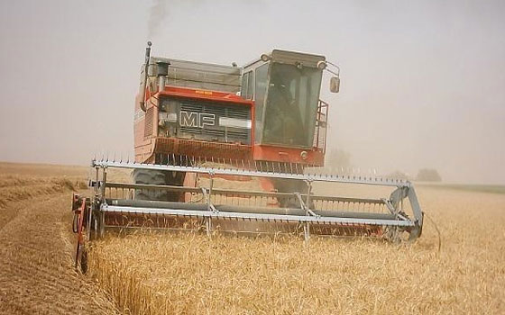   مصر اليوم - توريد 65 ألفا و602 طنًا من محصول القمح في قنا