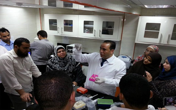   مصر اليوم - جامعة بني سويف تنظم دورة تدريبيّة للارتقاء بمستوي البحوث العلميّة